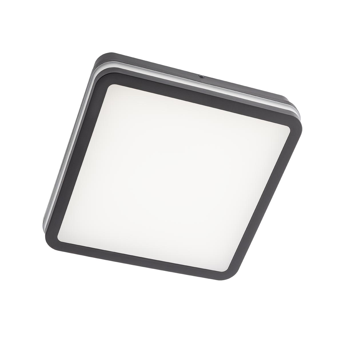 Isola Ceiling lamp 260mm Quadrato Grigio Opaco 3000K-6500K Tuya