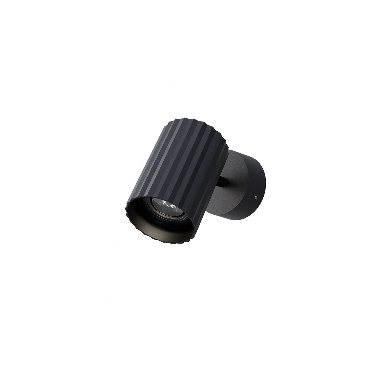 Delphi Ceiling lamp Orientable 1 spot small base Nero Opaco