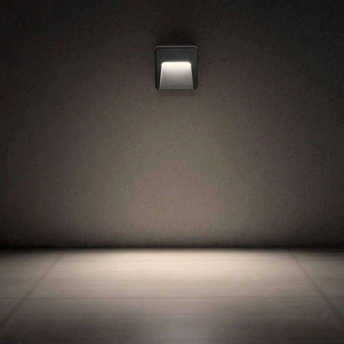 holos-gallery-2.webp