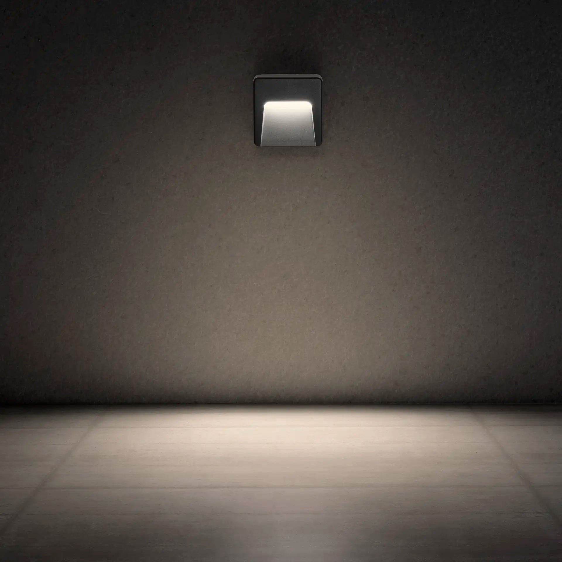 holos-gallery-2.webp