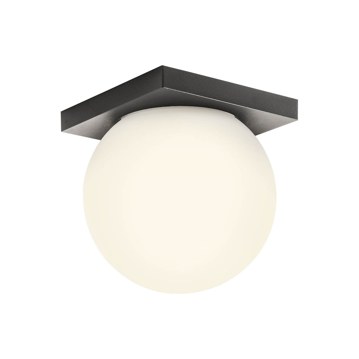 Opale Wall lamp Plate 1 Light Sand Black 3000K