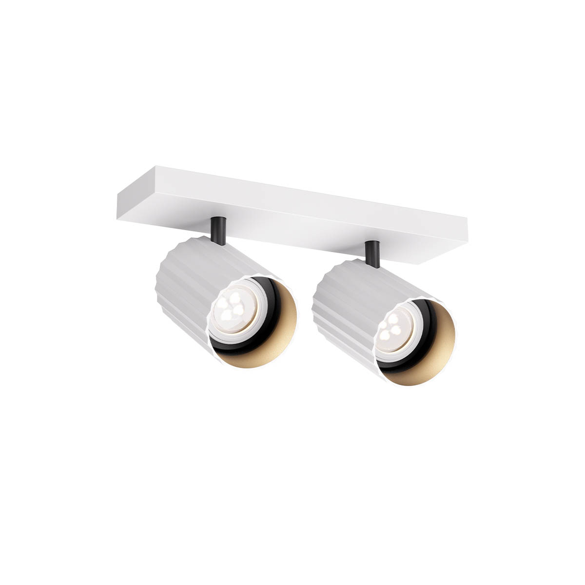 Delphi Ceiling lamp Orientable 2 spots Bianco Opaco