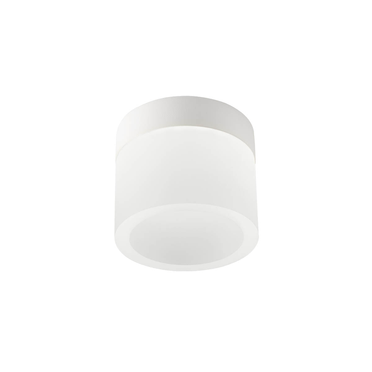 Naida Ceiling lamp Ceiling lamp Bianco Opaco CCT