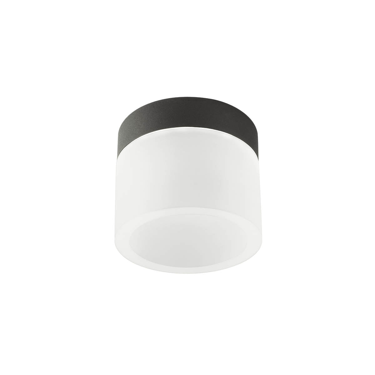 Naida Ceiling lamp Ceiling lamp Nero Opaco CCT